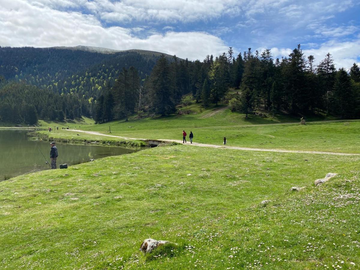Gite Chaleureux Au Lac De Payolle 康庞 外观 照片