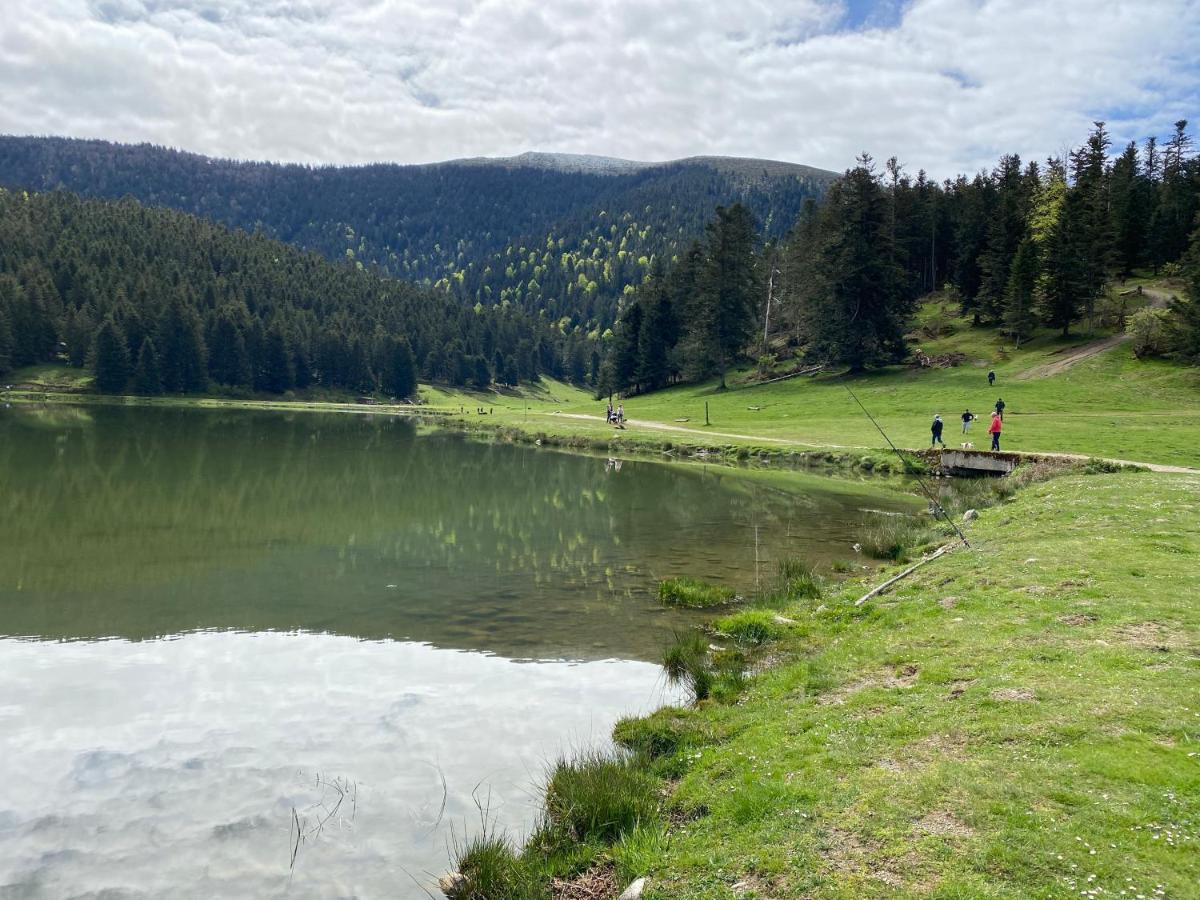 Gite Chaleureux Au Lac De Payolle 康庞 外观 照片