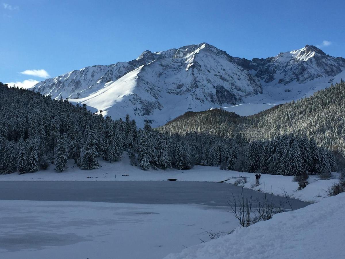 Gite Chaleureux Au Lac De Payolle 康庞 外观 照片