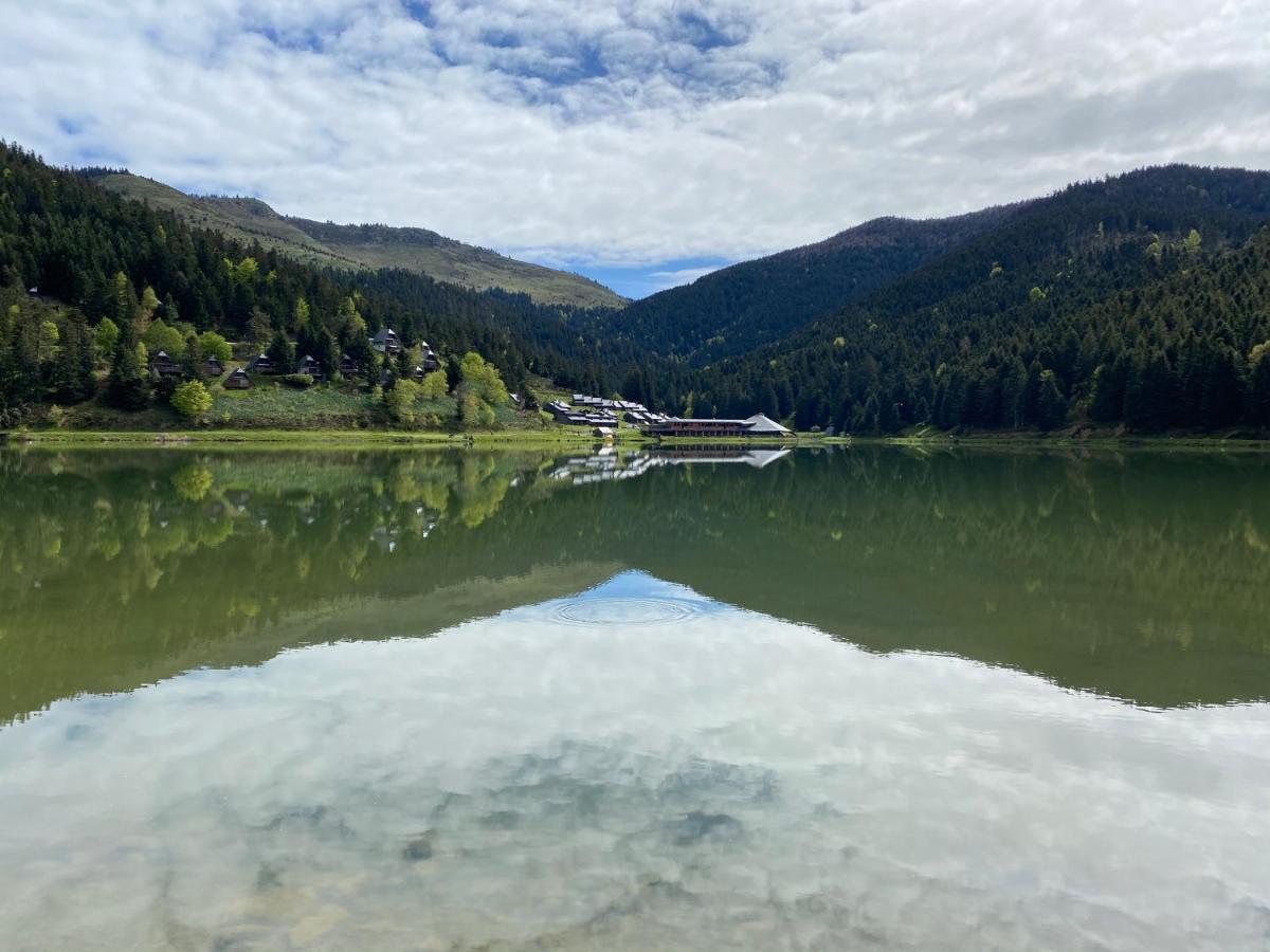 Gite Chaleureux Au Lac De Payolle 康庞 外观 照片