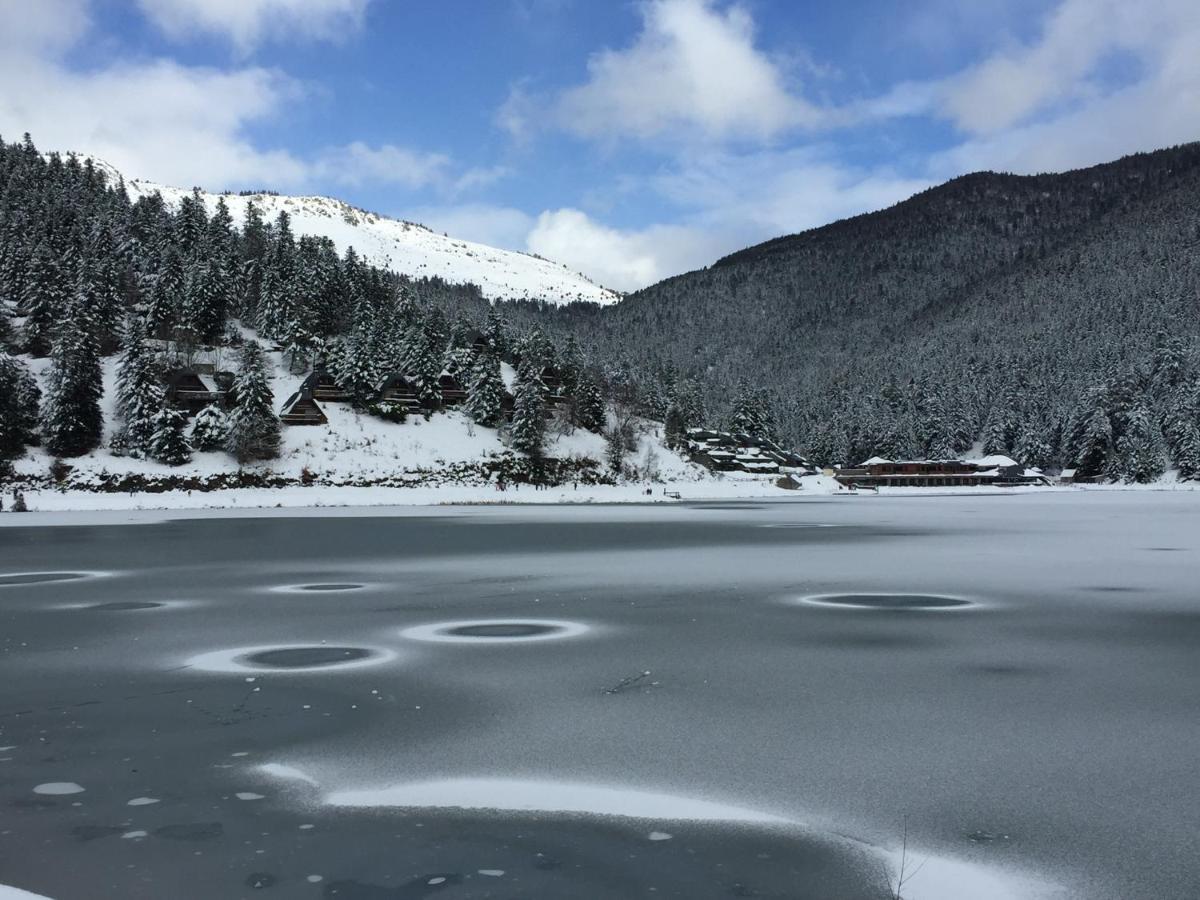 Gite Chaleureux Au Lac De Payolle 康庞 外观 照片
